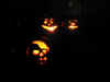 pumpkins_1.jpg (83872 bytes)